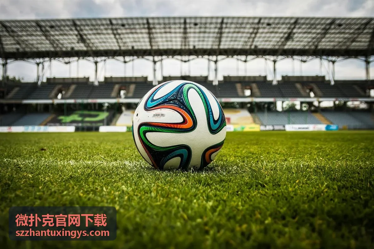 微扑克官网下载安装包内的牌桌主题设置界面